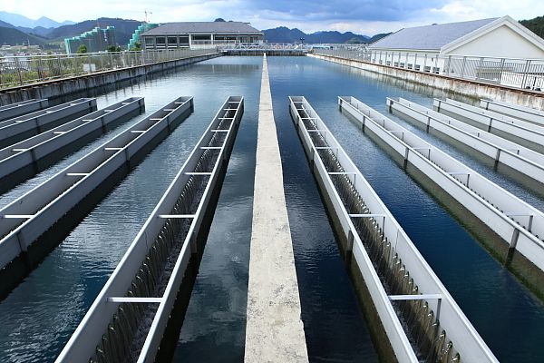 1749439154738293.jpg 自來(lái)水廠.jpg